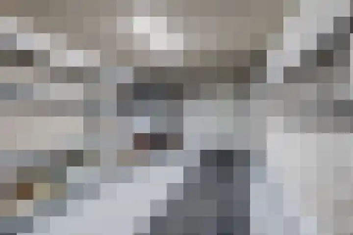 Zevendreef 3126 Wijchen thumbnail 41