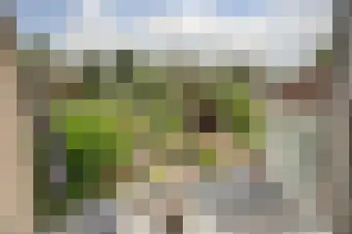 Zevendreef 3126 Wijchen thumbnail 42