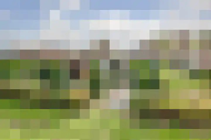 Zevendreef 3126 Wijchen thumbnail 43