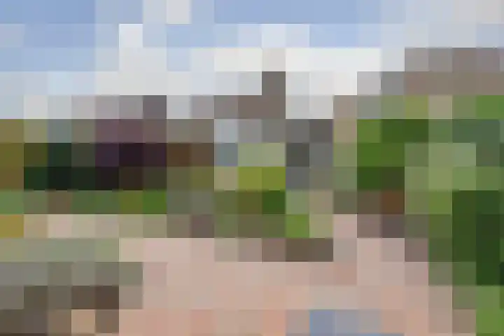 Zevendreef 3126 Wijchen thumbnail 44