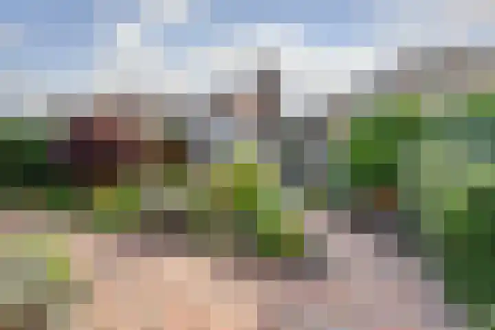 Zevendreef 3126 Wijchen thumbnail 45