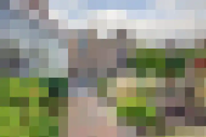 Zevendreef 3126 Wijchen thumbnail 46