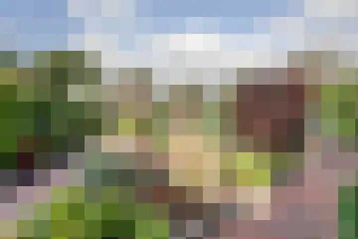 Zevendreef 3126 Wijchen thumbnail 50