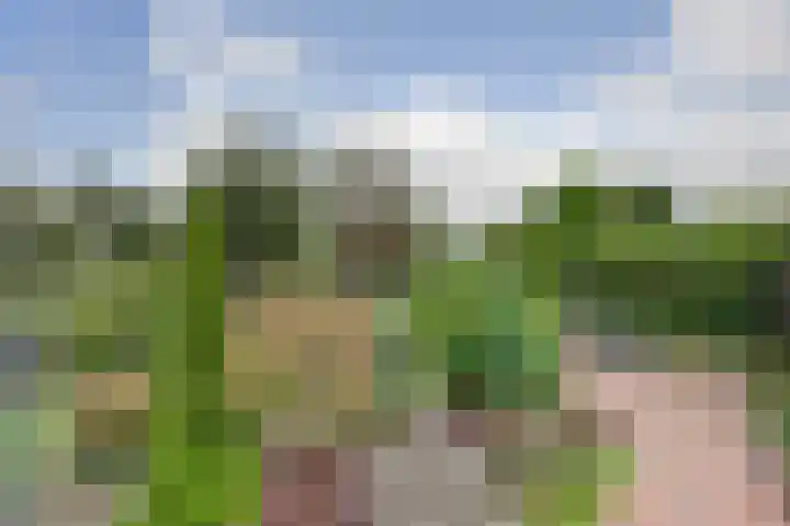 Zevendreef 3126 Wijchen thumbnail 51