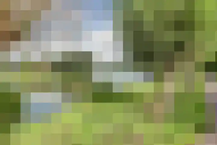 Zevendreef 3126 Wijchen thumbnail 52
