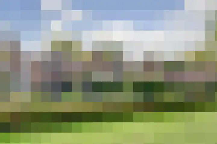 Zevendreef 3126 Wijchen thumbnail 54