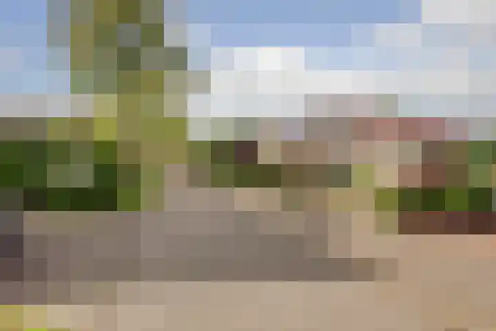 Zevendreef 3126 Wijchen thumbnail 58