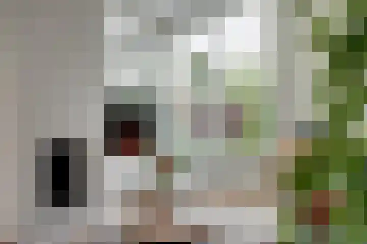 Zevendreef 3126 Wijchen thumbnail 6