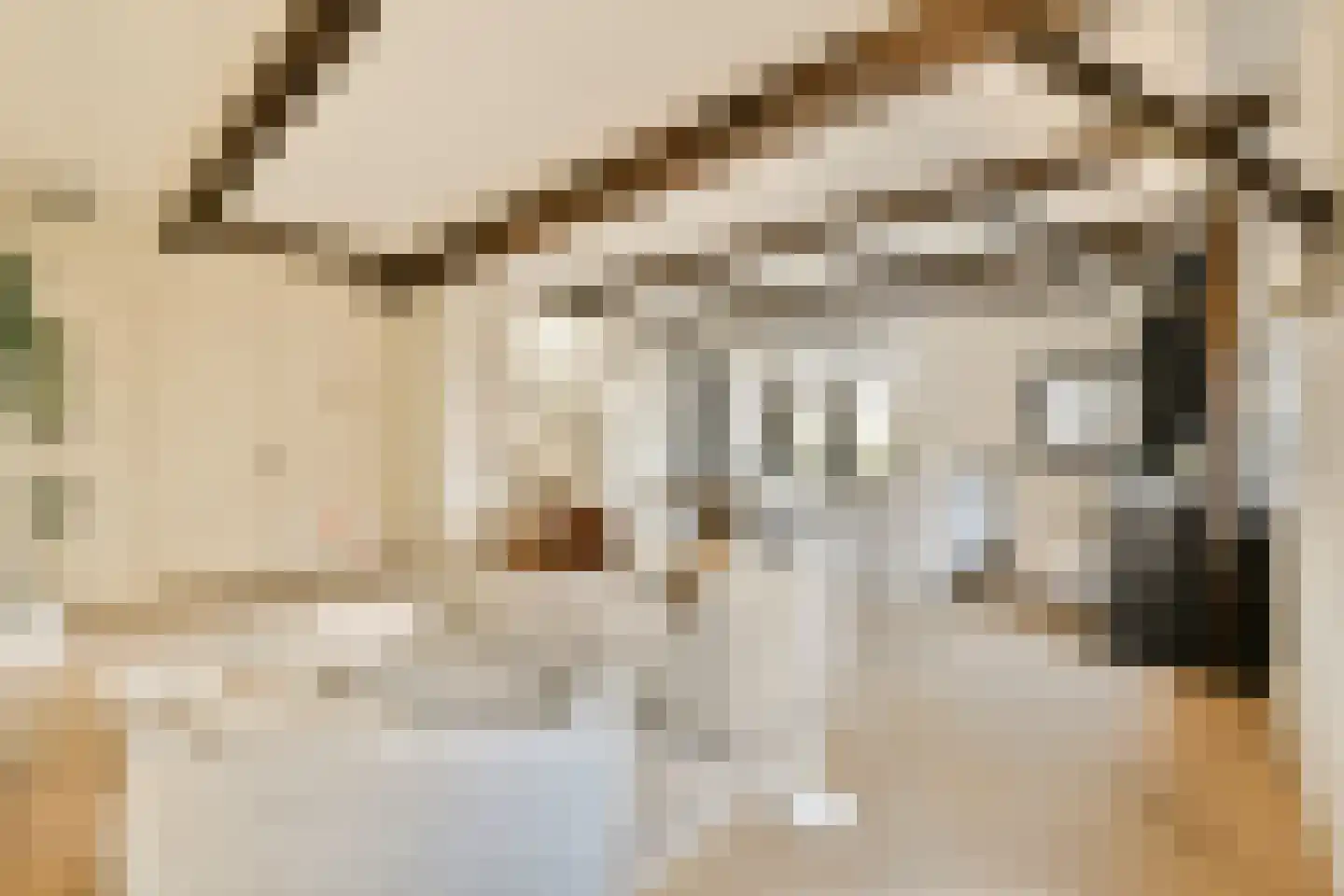 Zevenend 26 a 1 Laren thumbnail 10