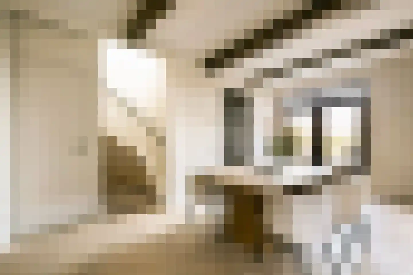 Zevenend 26 a 1 Laren thumbnail 11