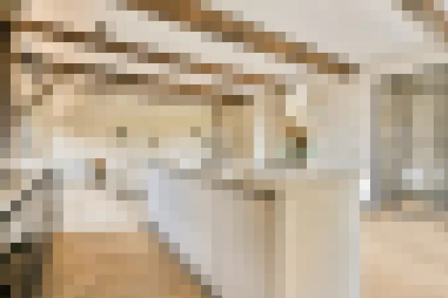 Zevenend 26 a 1 Laren thumbnail 15