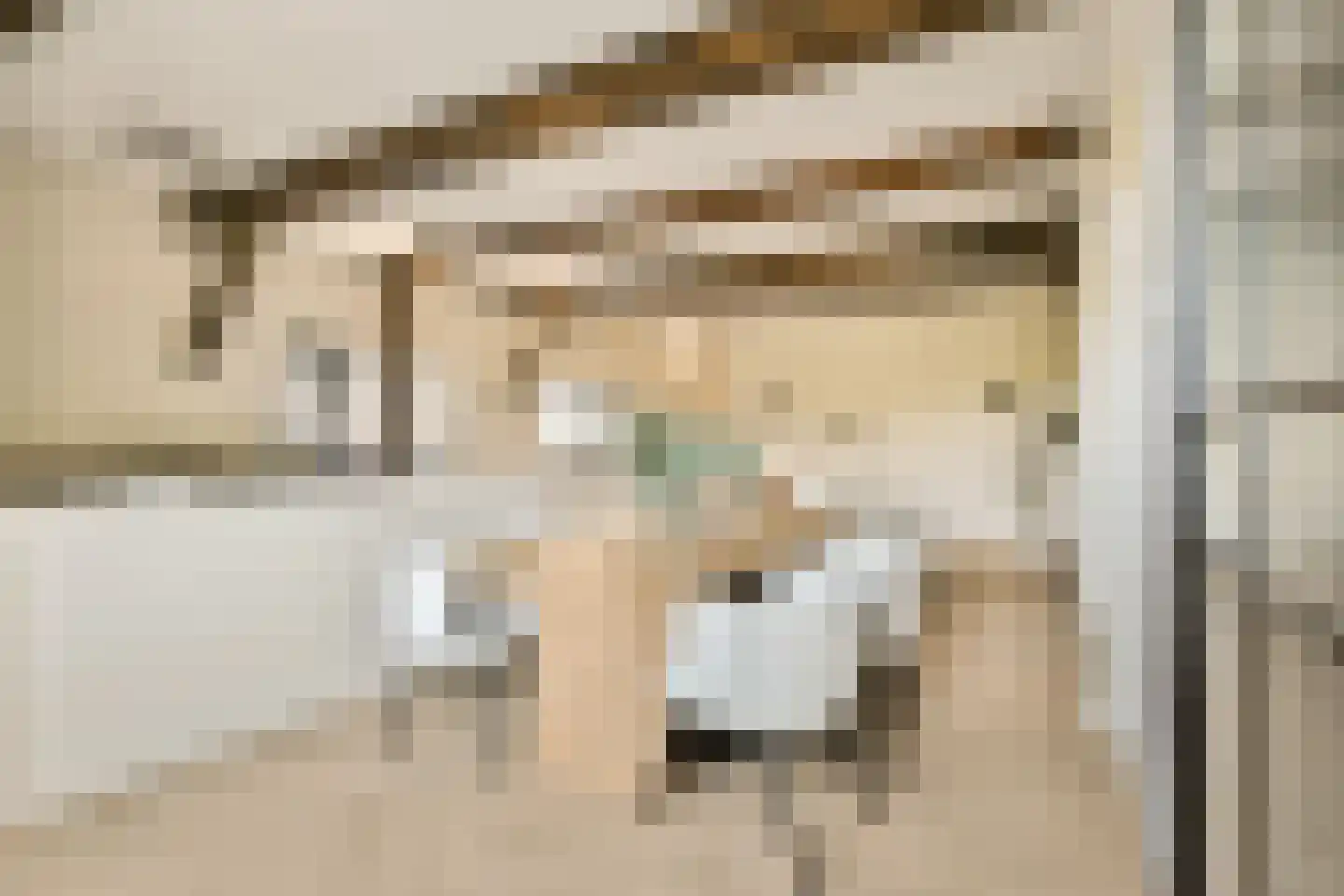 Zevenend 26 a 1 Laren thumbnail 7