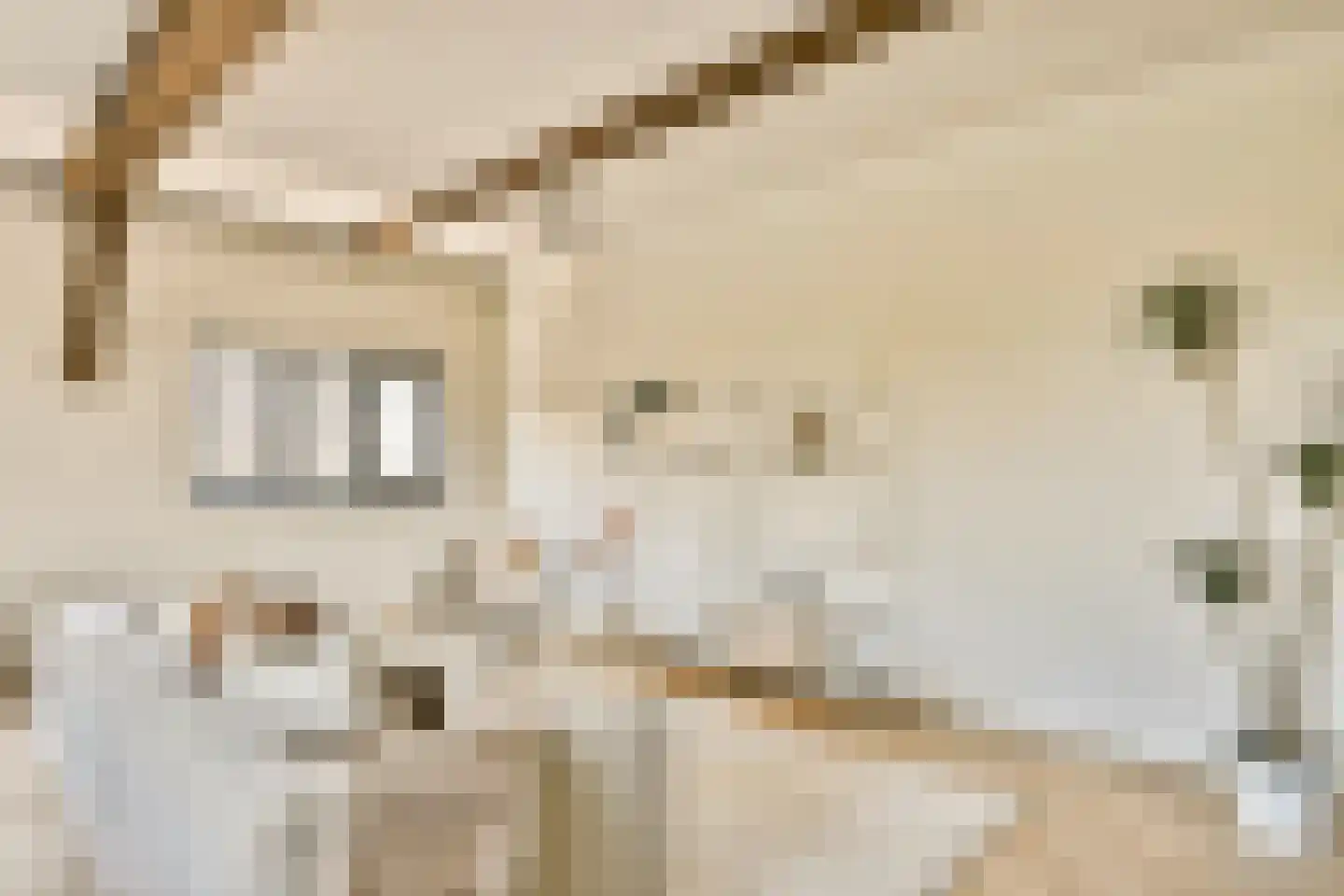 Zevenend 26 a 1 Laren thumbnail 8