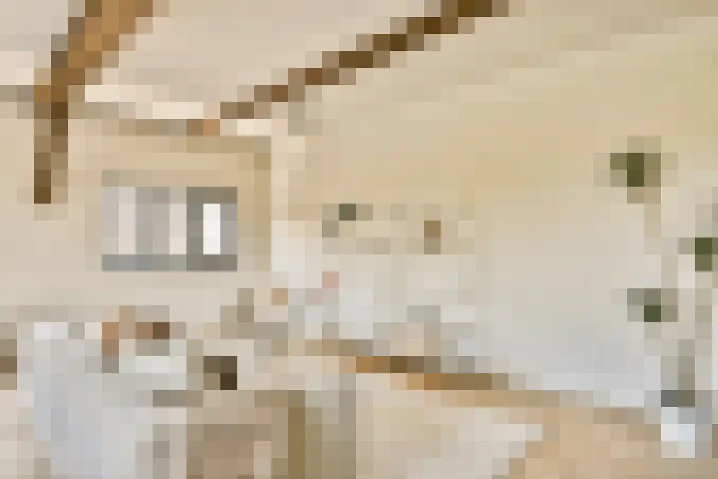 Zevenend 26 a 1 Laren thumbnail 8