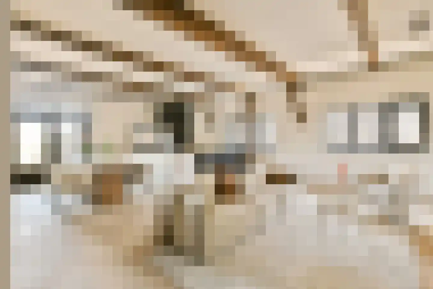 Zevenend 26 a 1 Laren thumbnail 9