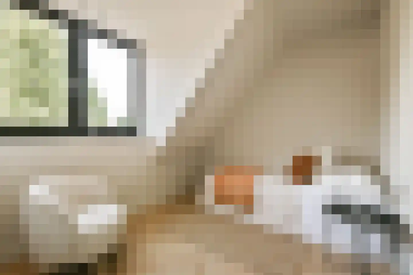 Zevenend 26 a 2 Laren thumbnail 29