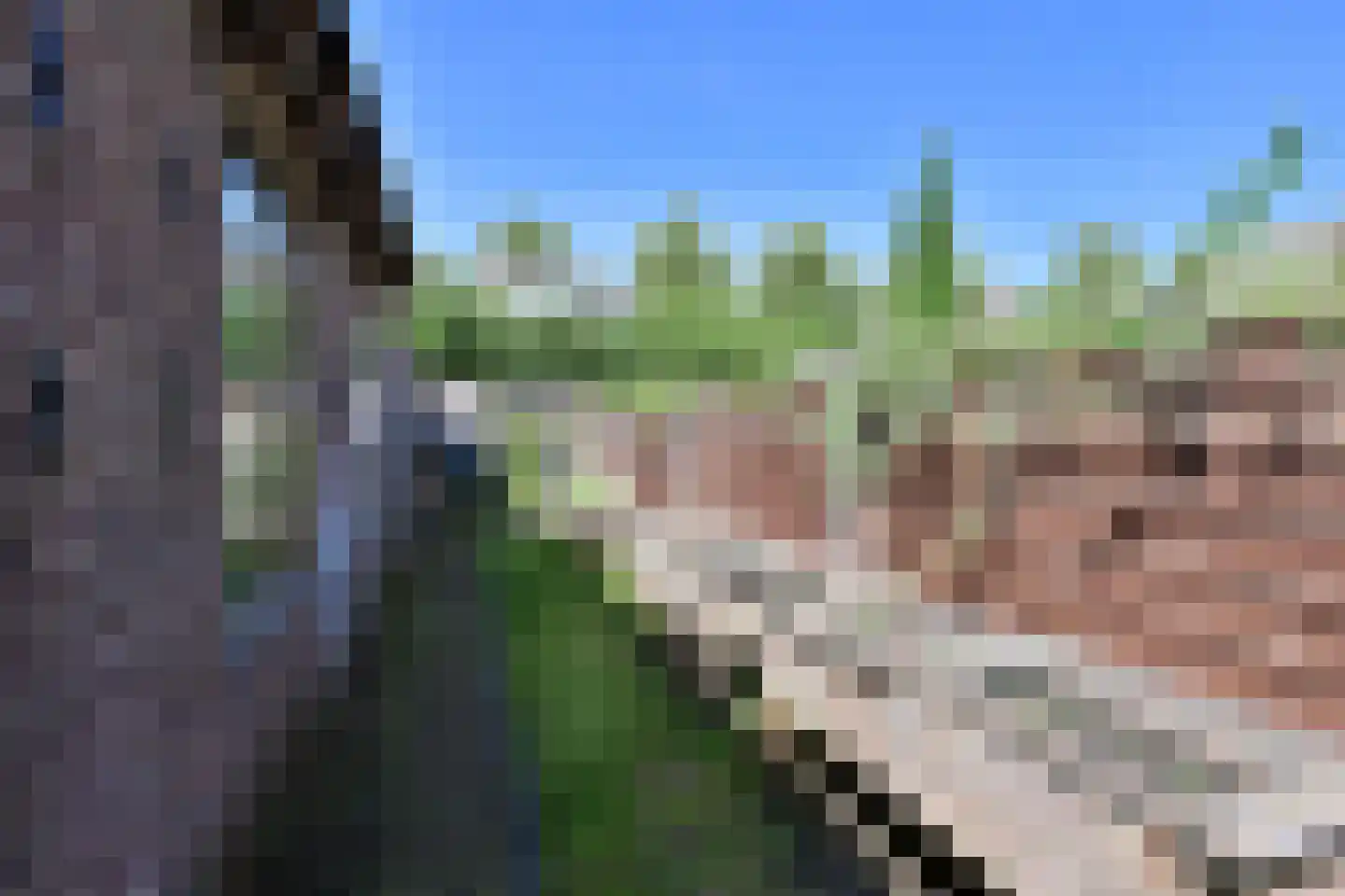 Zevenend 28 b Laren thumbnail 13