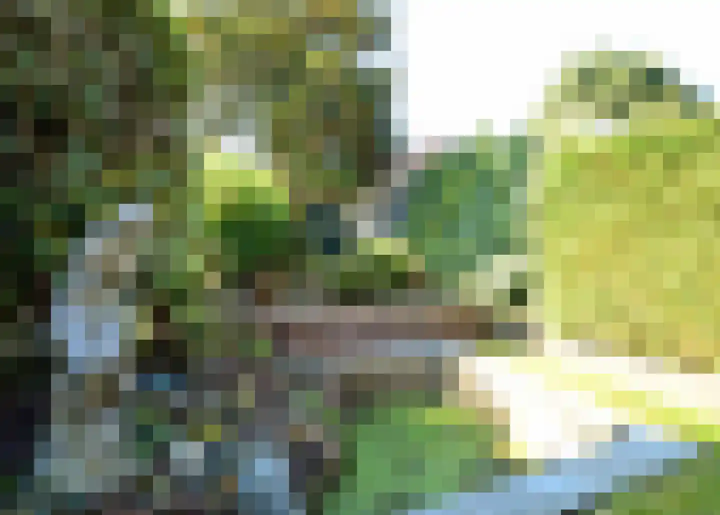 Zevenend 46 Laren thumbnail 11