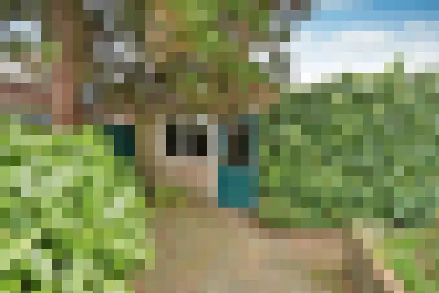 Zevenend 46 Laren thumbnail 19