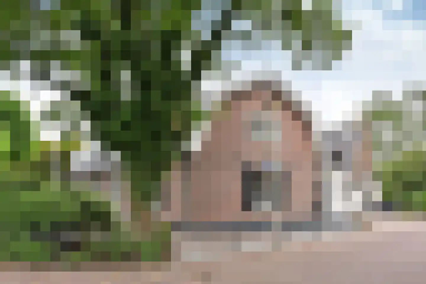 Zevenend 53 55 Laren thumbnail 22