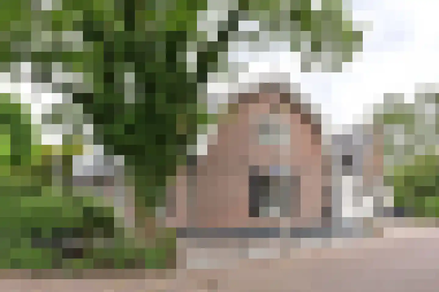 Zevenend 55 Laren thumbnail 12