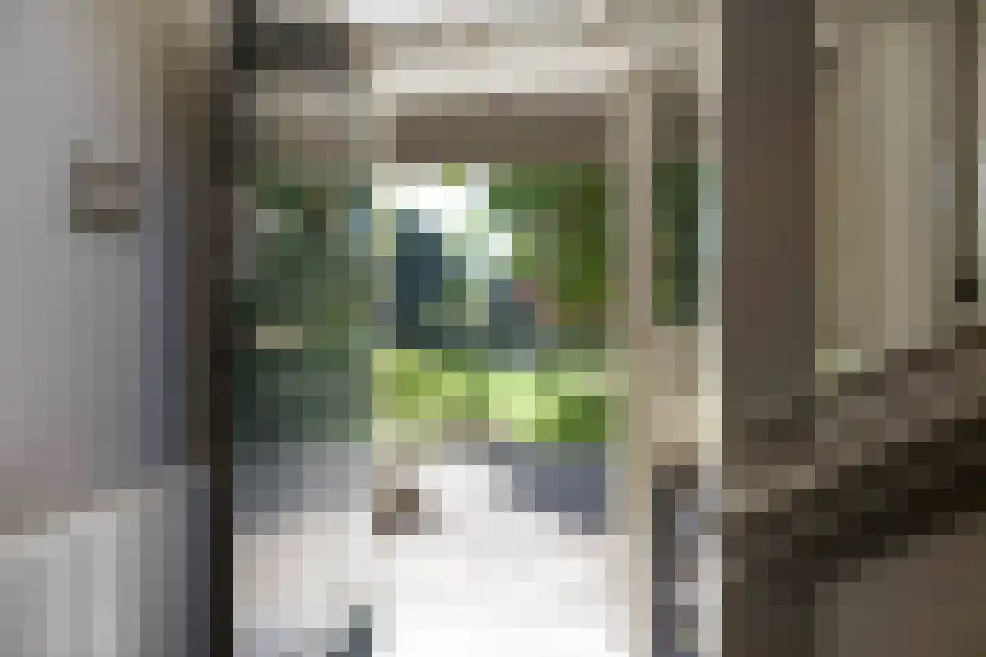 Zevenend 81 Laren thumbnail 12