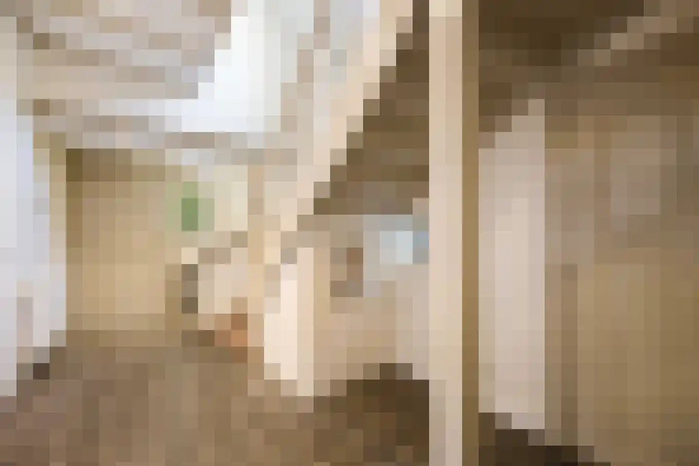 Zevenend 81 Laren thumbnail 13