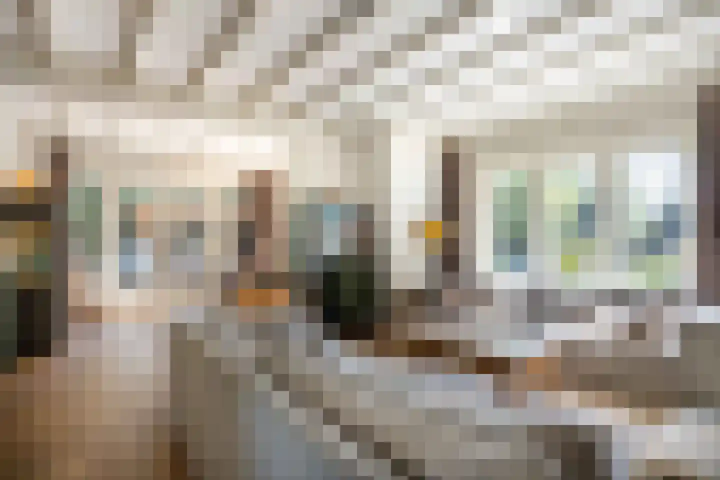 Zevenend 81 Laren thumbnail 14