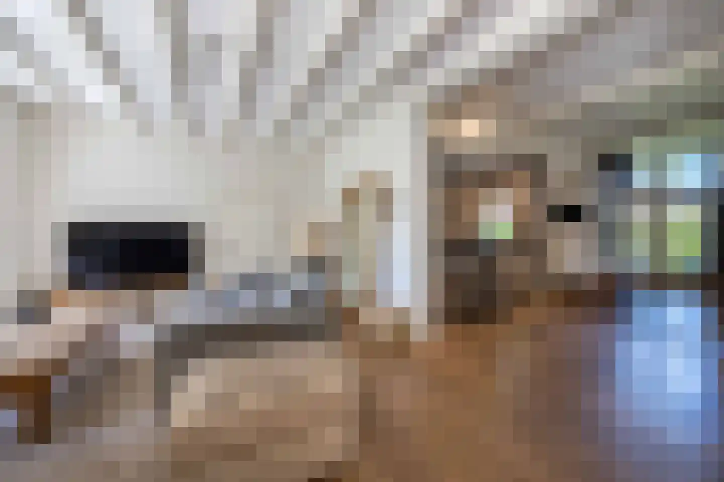 Zevenend 81 Laren thumbnail 20