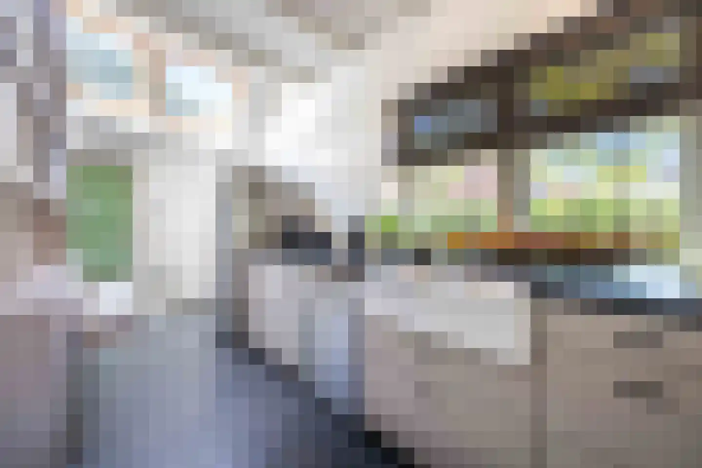 Zevenend 81 Laren thumbnail 29