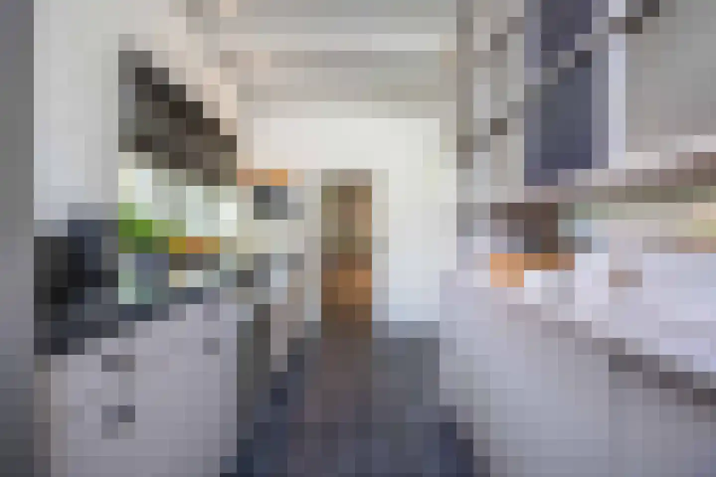 Zevenend 81 Laren thumbnail 30