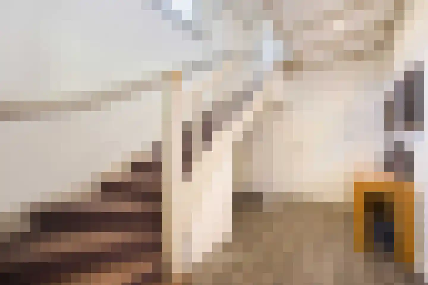 Zevenend 81 Laren thumbnail 31