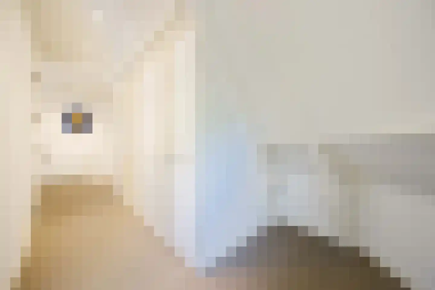 Zevenend 81 Laren thumbnail 34