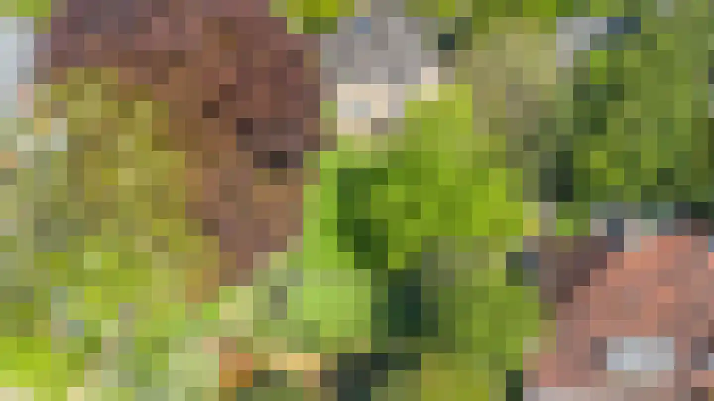 Zevenend 81 Laren thumbnail 5
