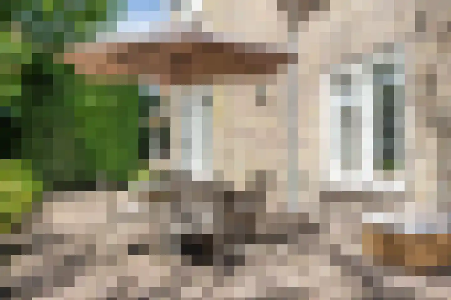 Zevenend 81 Laren thumbnail 6