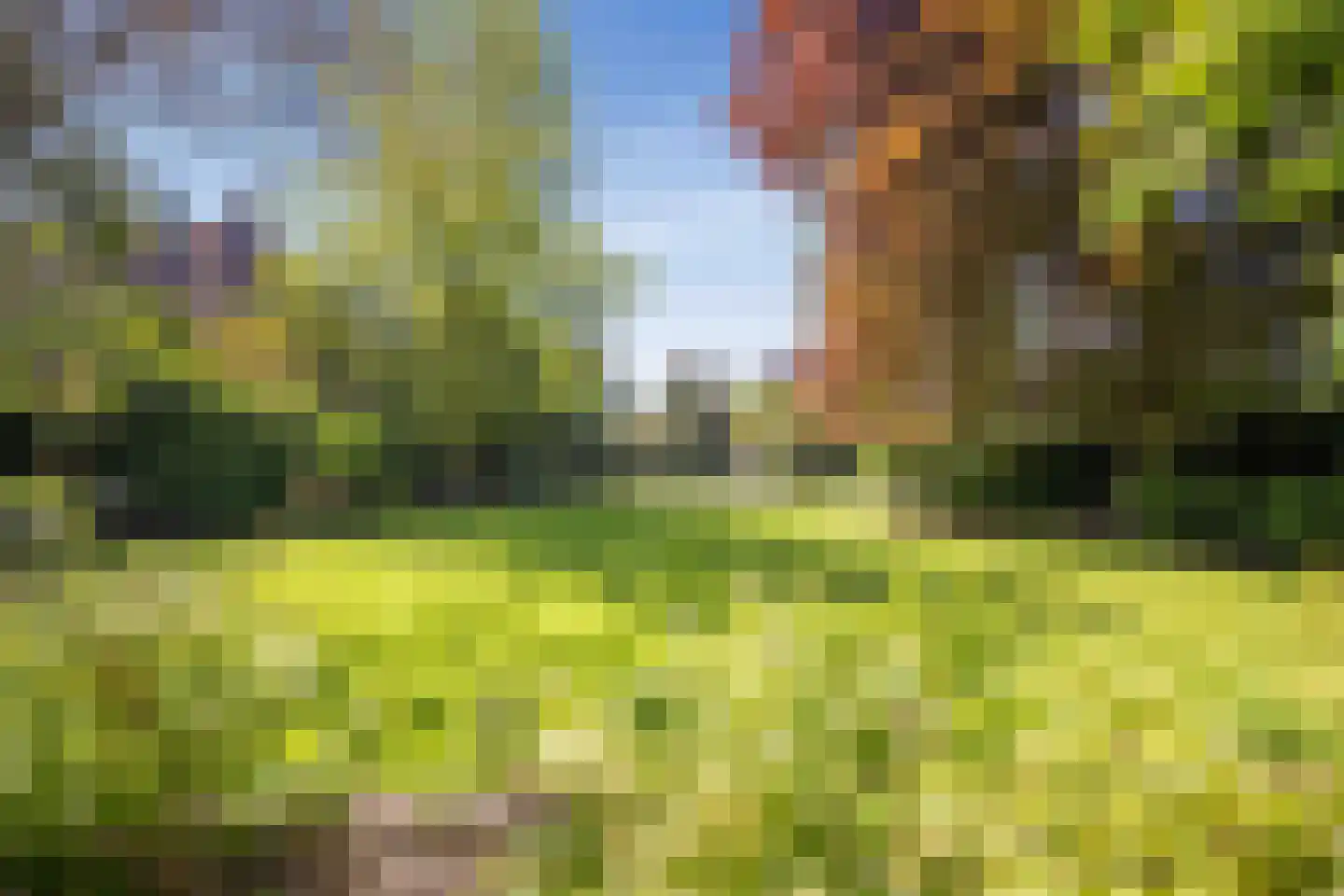 Zevenend 81 Laren thumbnail 9