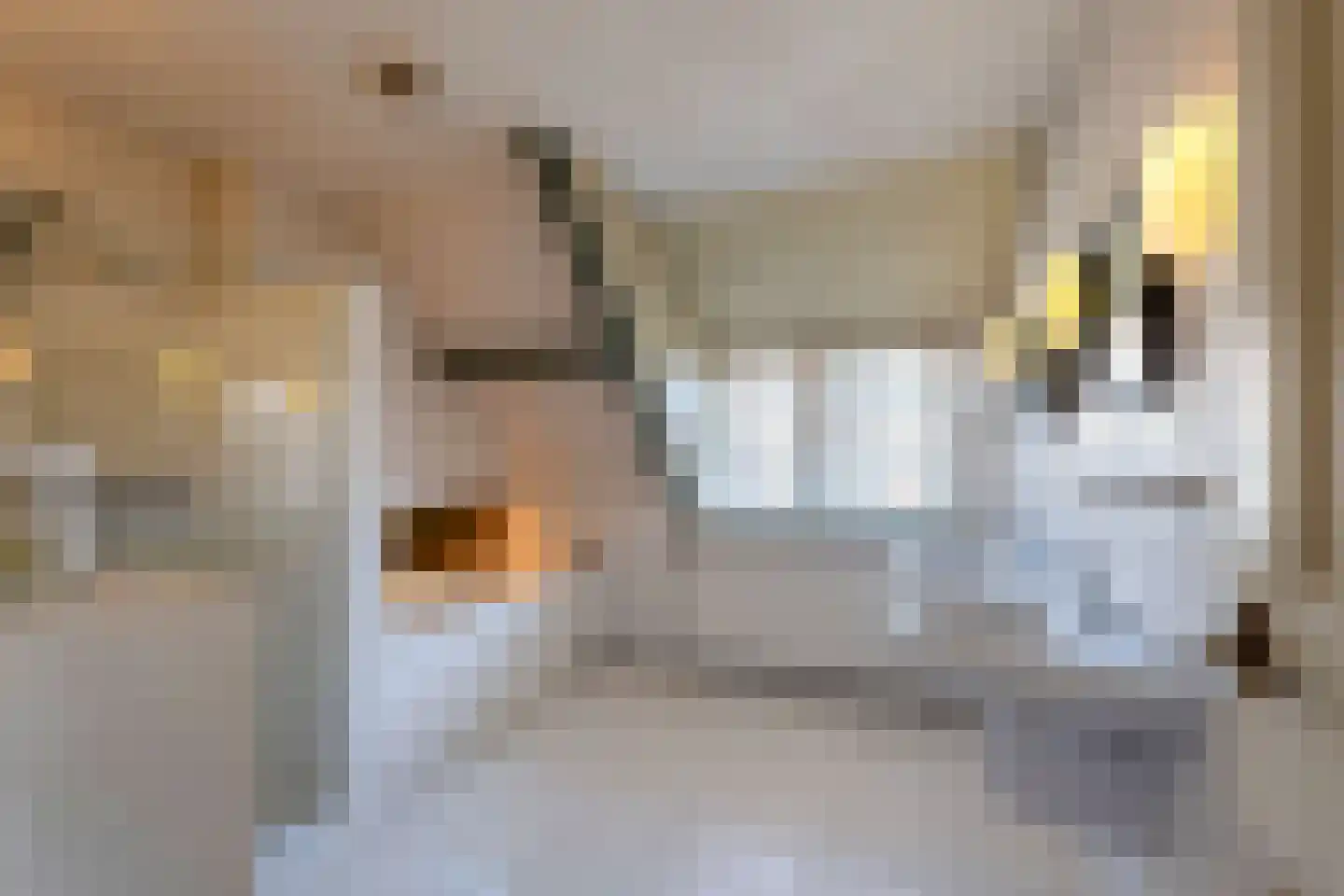 Zevenenderdrift 11 Laren thumbnail 38
