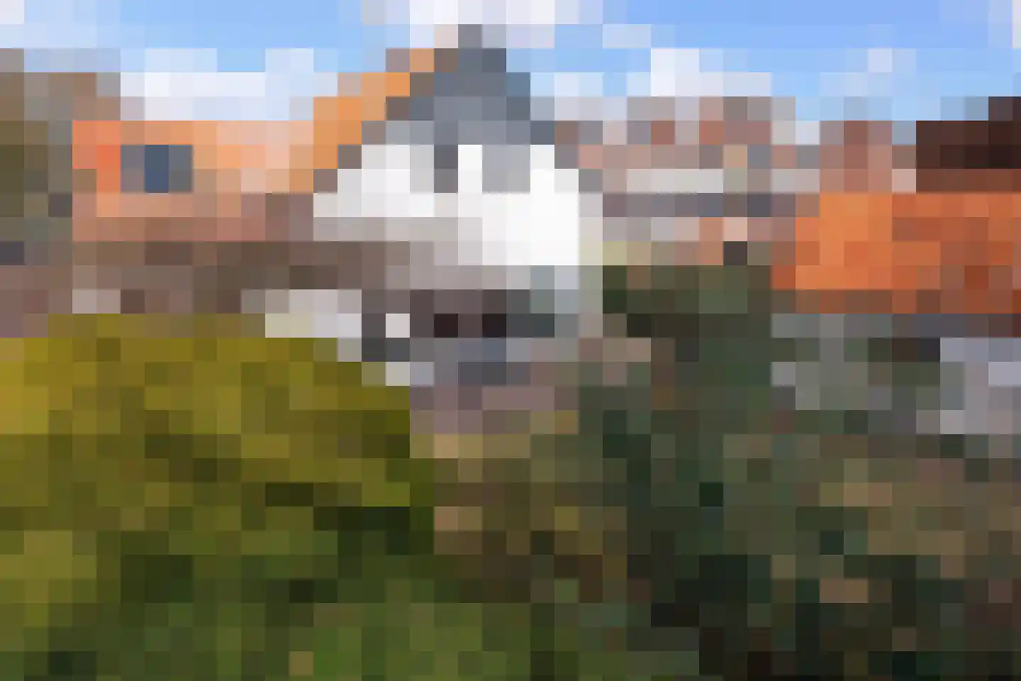 Zevenenderdrift 11 Laren thumbnail 56