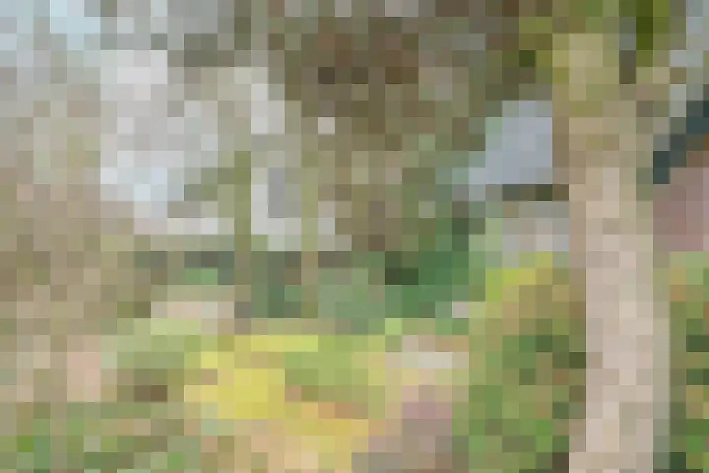 Zevenenderdrift 4 Laren thumbnail 33