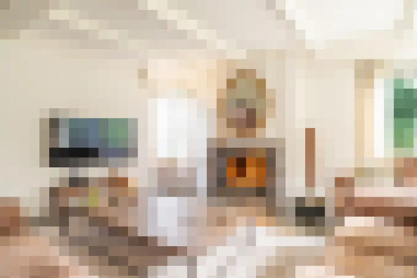 Zevenenderdrift 4 Laren thumbnail 5