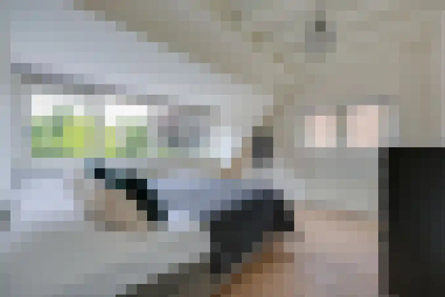 Zevenenderdrift 50 Laren thumbnail 25