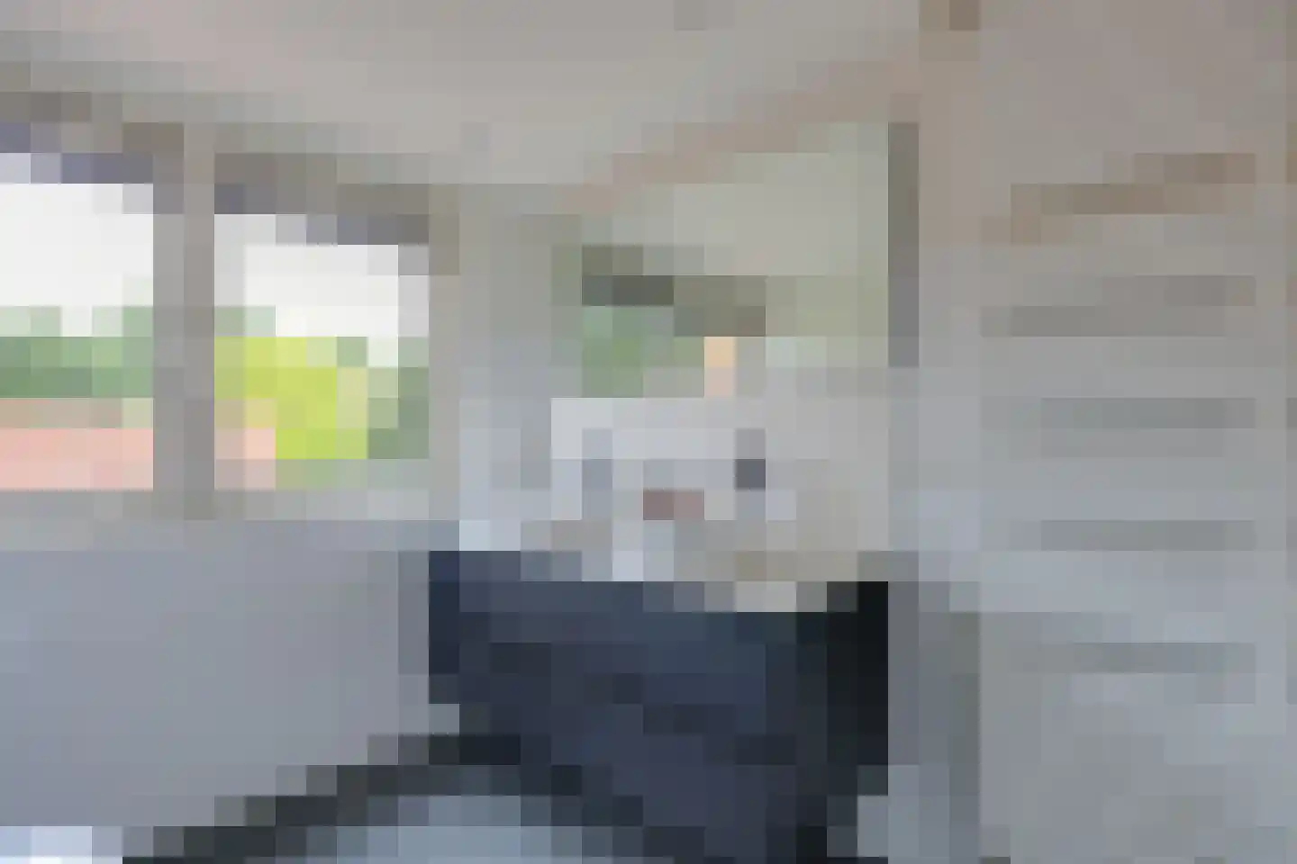 Zevenenderdrift 50 Laren thumbnail 31