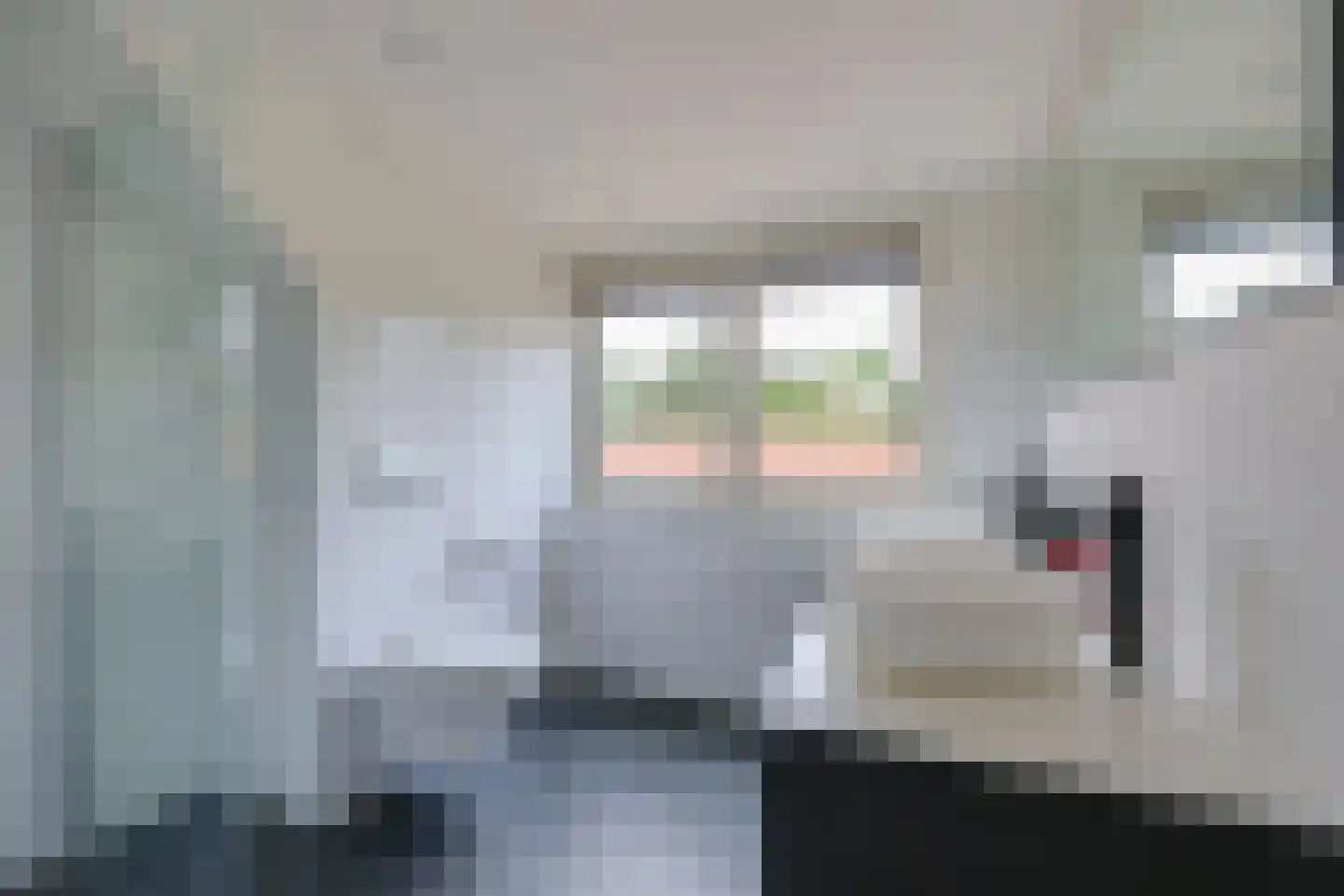 Zevenenderdrift 50 Laren thumbnail 32