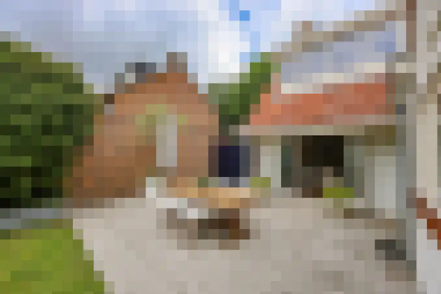Zevenenderdrift 50 Laren thumbnail 37