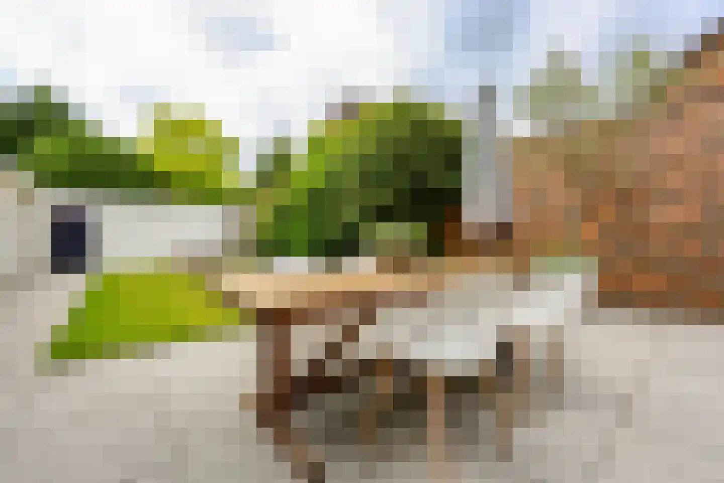 Zevenenderdrift 50 Laren thumbnail 38