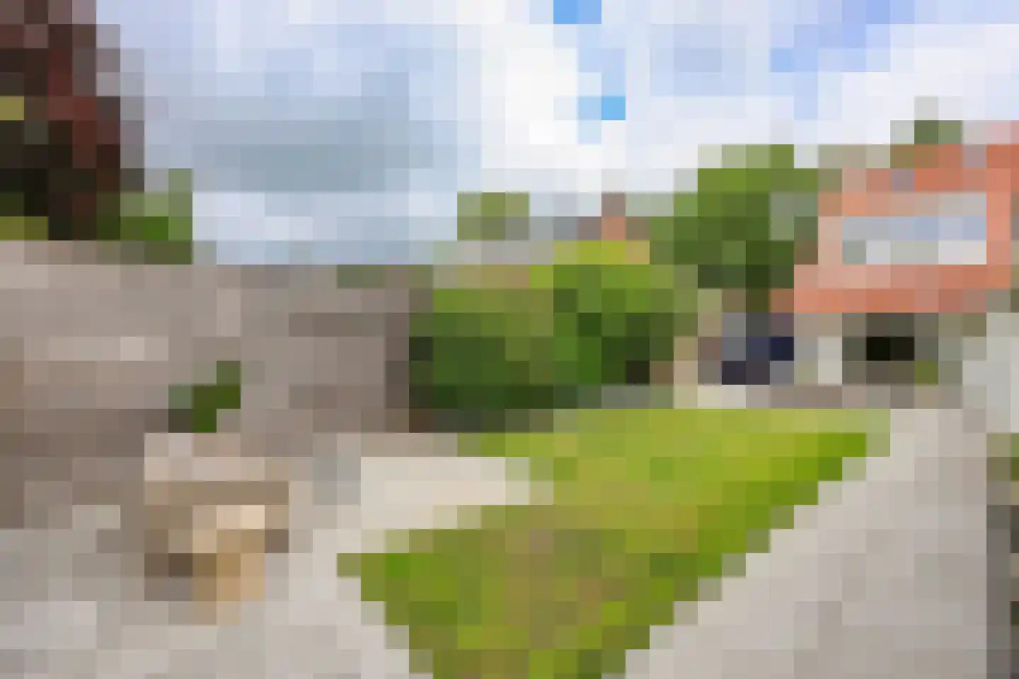 Zevenenderdrift 50 Laren thumbnail 40