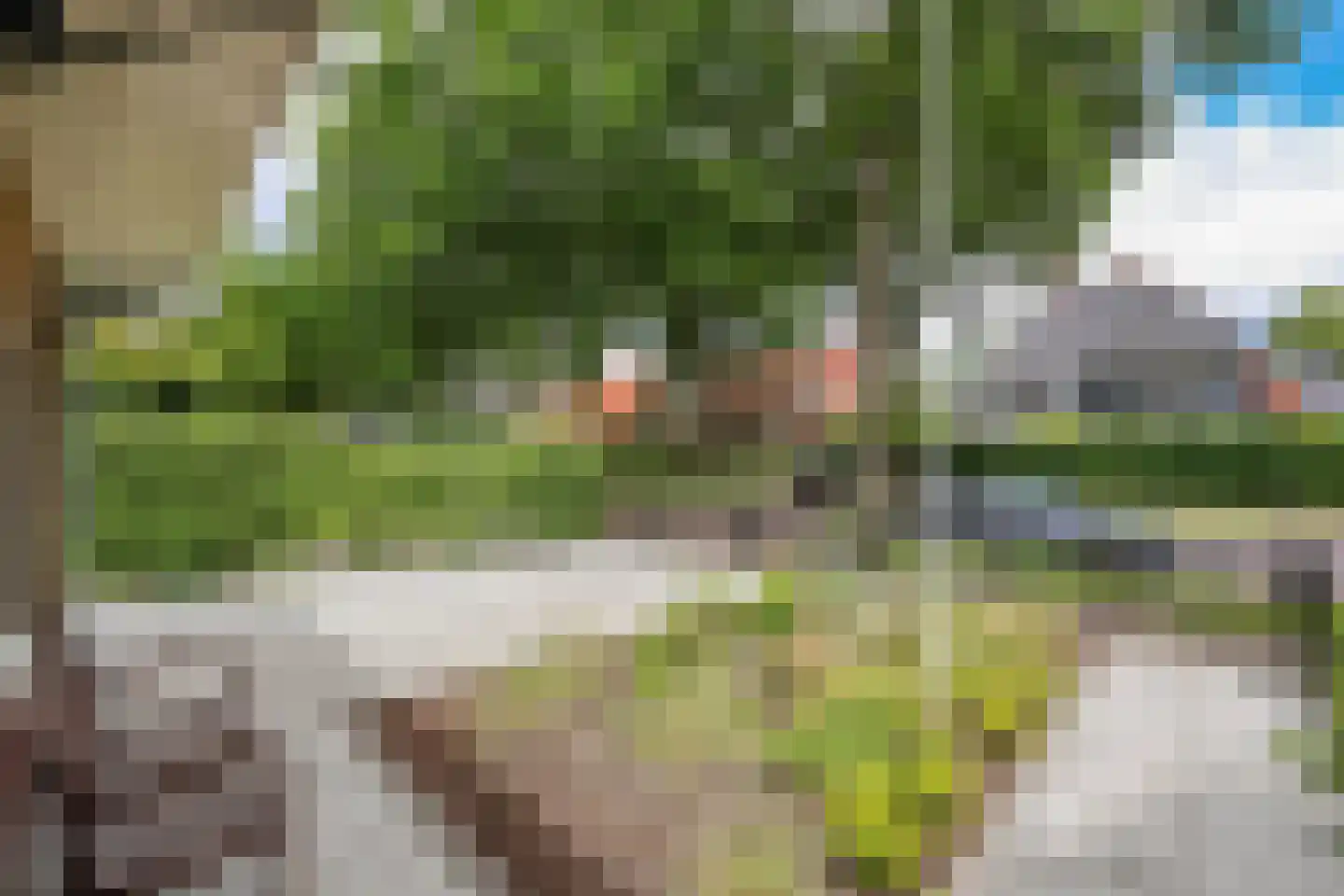 Zevenenderdrift 50 Laren thumbnail 5