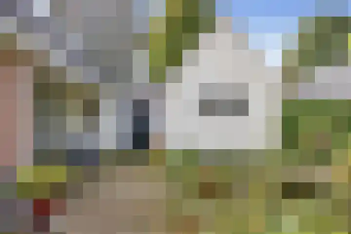 Zevenenderdrift 54 Laren thumbnail 32