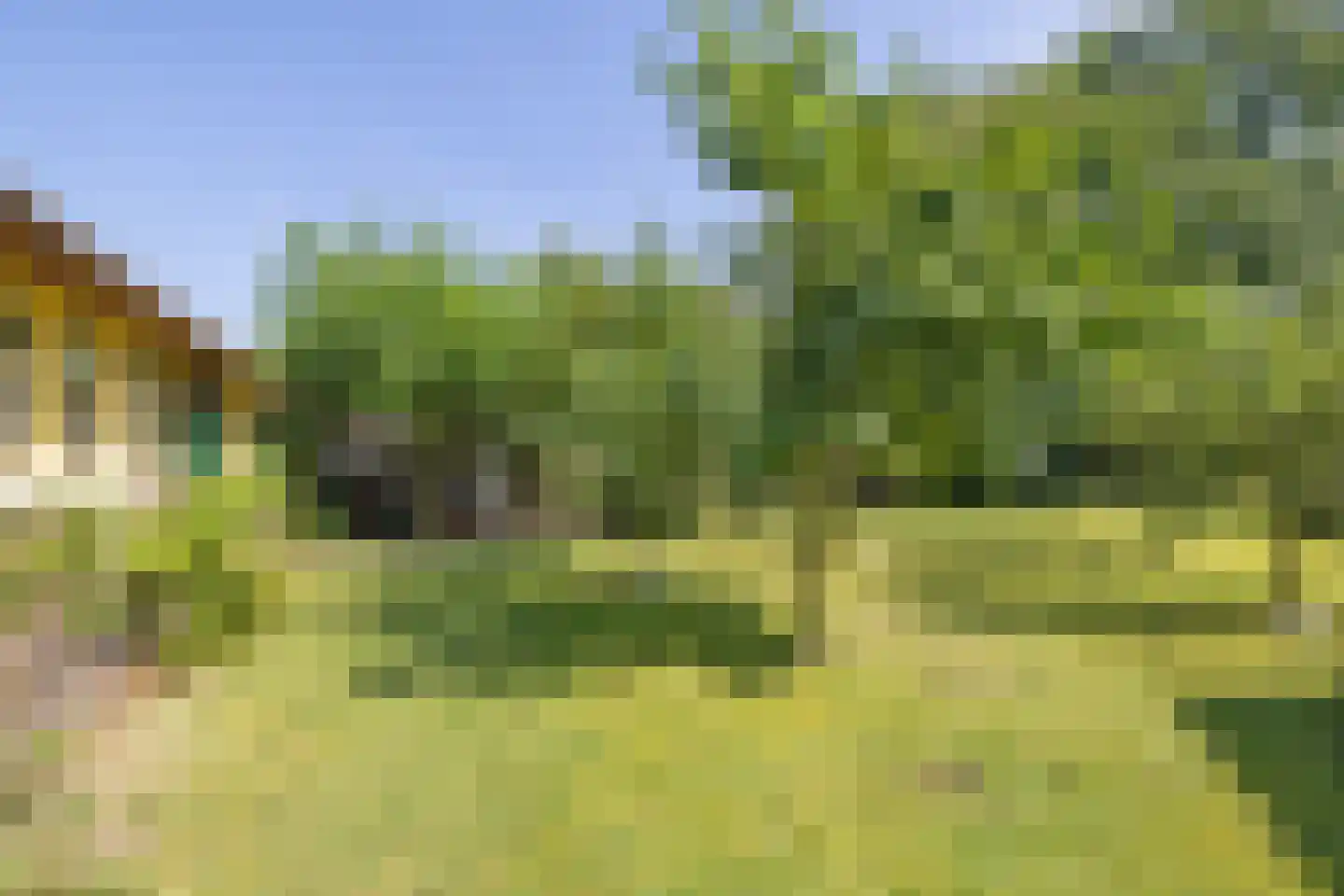 Zevenenderdrift 55 Laren thumbnail 23