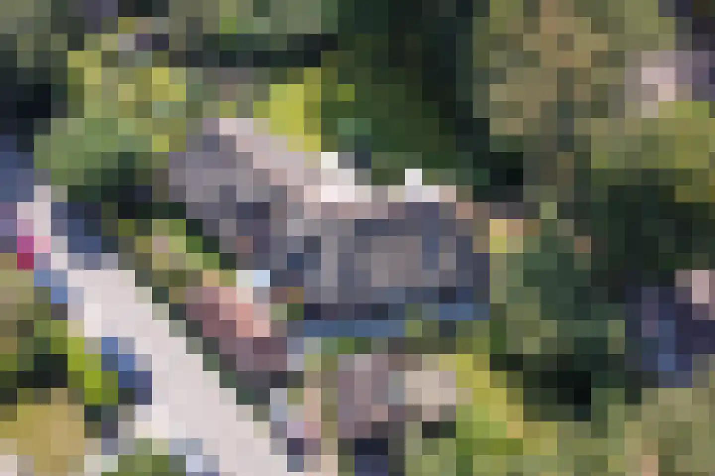 Zevenenderdrift 55 Laren thumbnail 32